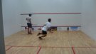 Squash, Máčka vs. Vechys